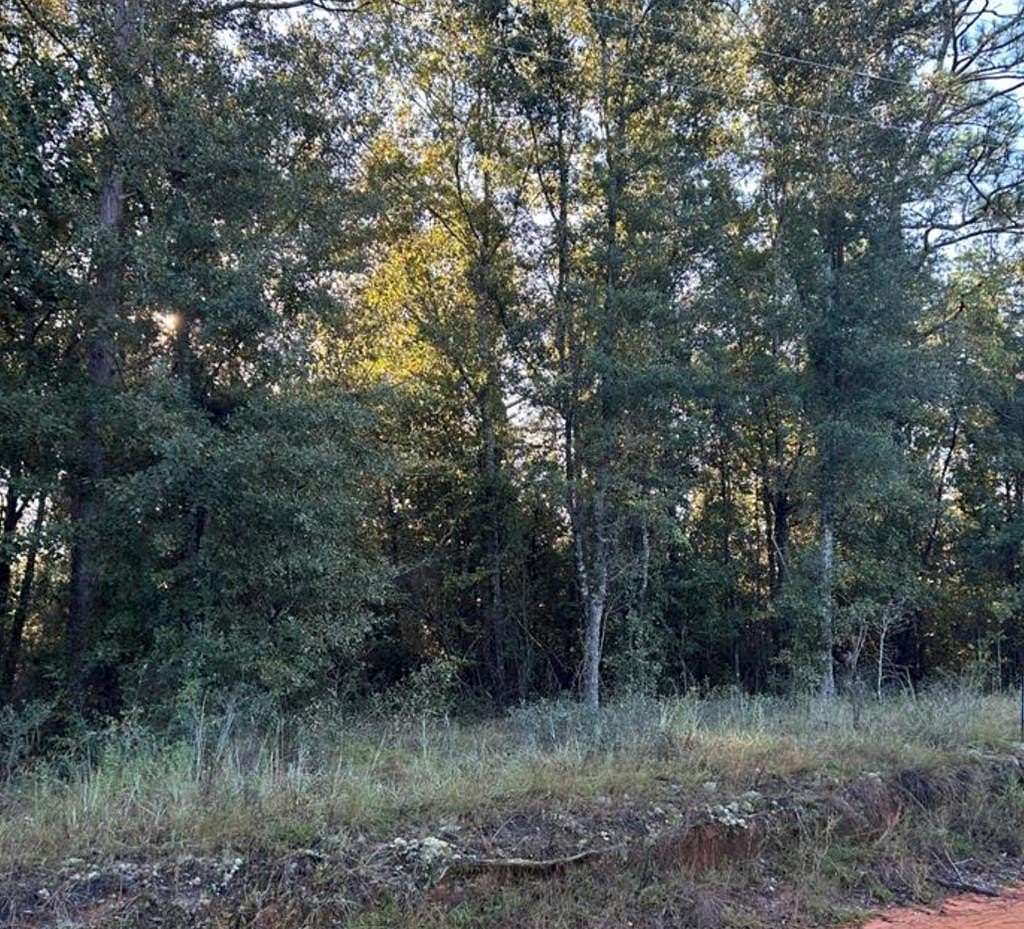 0.51 Acres of Residential Land for Sale in Donalsonville, Georgia
