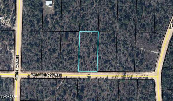 5.1 Acres of Land for Sale in Alford, Florida