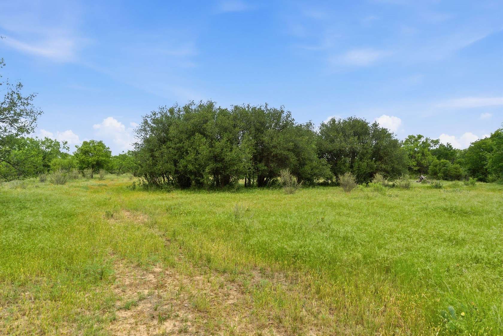 141 Acres of Recreational & Residential Land for Sale in Moran, Texas