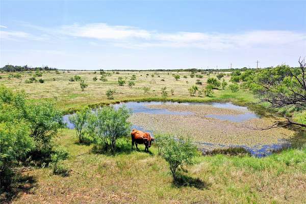 54 Acres of Agricultural Land for Sale in Olney, Texas
