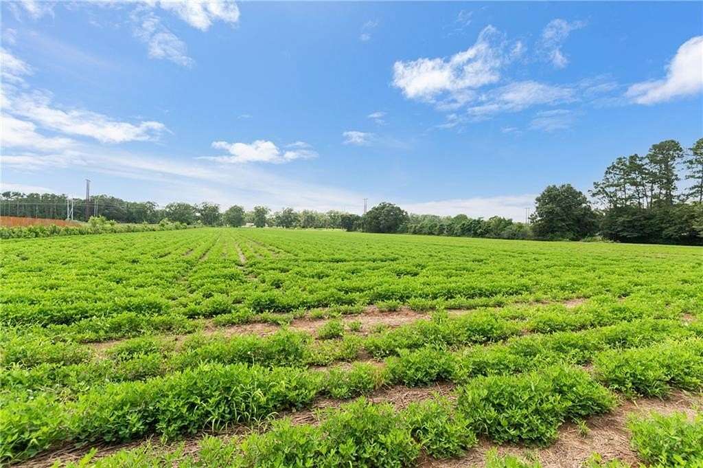 9.7 Acres of Residential Land for Sale in Silverhill, Alabama