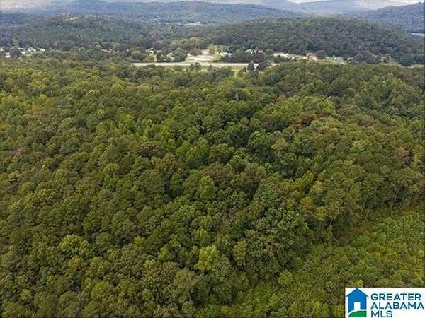 14.5 Acres of Land for Sale in Allgood, Alabama