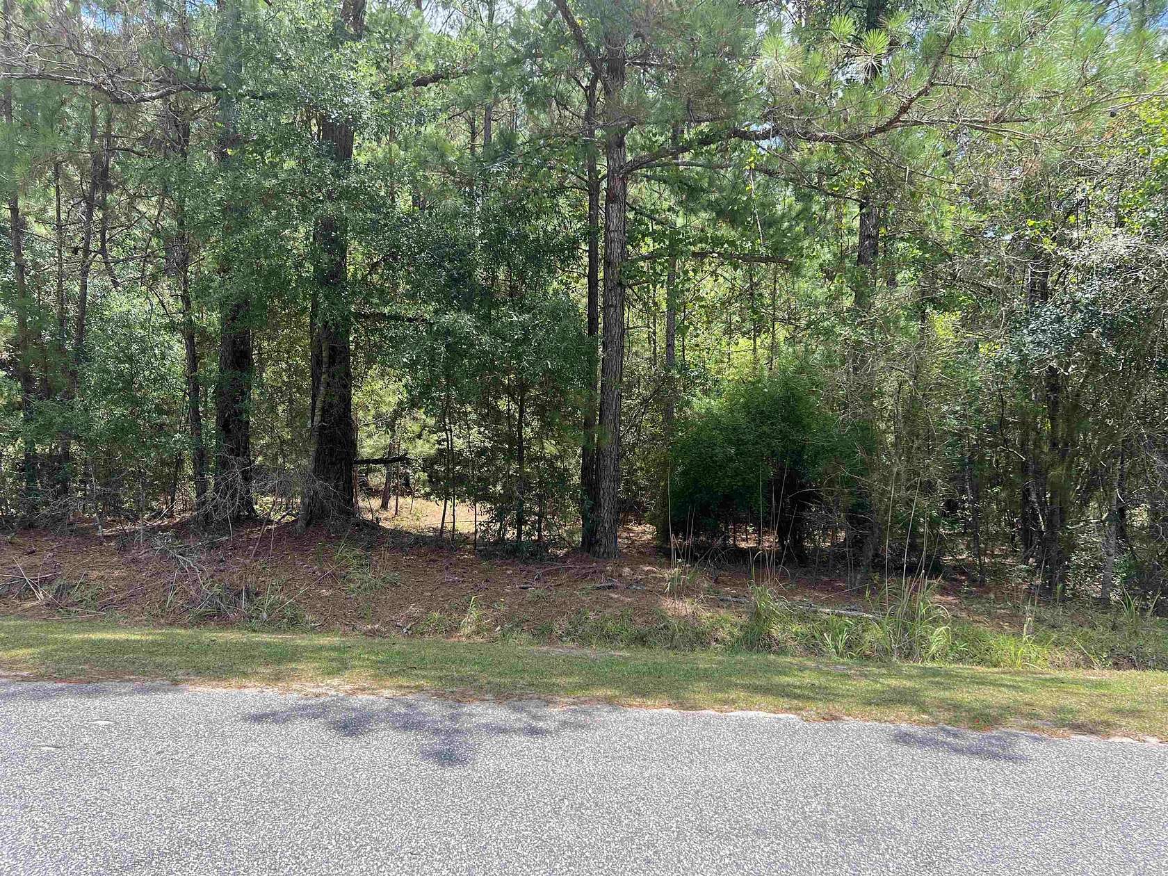 1.3 Acres of Residential Land for Sale in Andrews, South Carolina