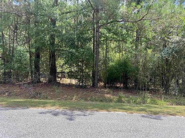 1.3 Acres of Residential Land for Sale in Andrews, South Carolina