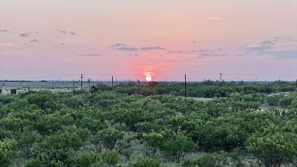 149 Acres of Land for Sale in Snyder, Texas