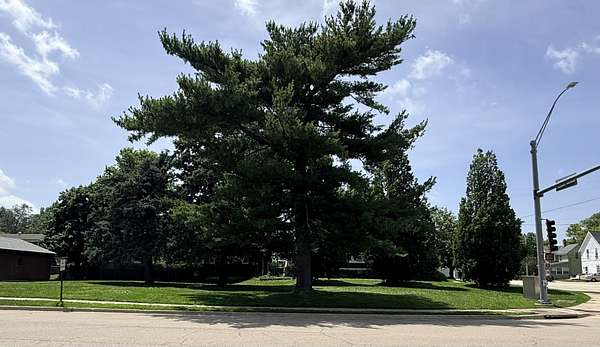 0.16 Acres of Commercial Land for Sale in Mount Morris, Illinois