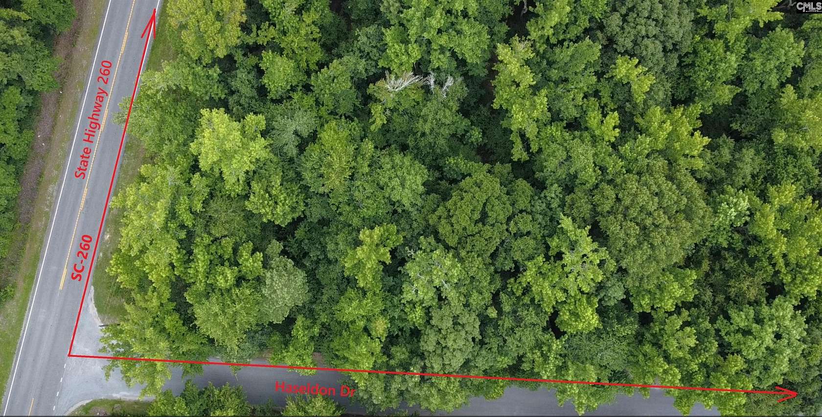 13.1 Acres of Land for Sale in Manning, South Carolina