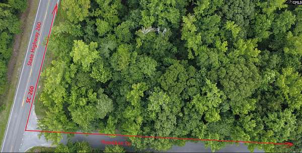 13.1 Acres of Land for Sale in Manning, South Carolina