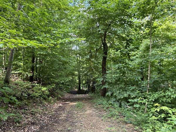 58 Acres of Recreational & Residential Land for Sale in Frenchburg, Kentucky
