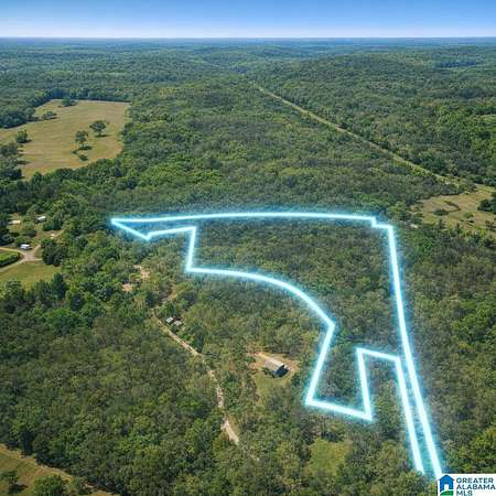 19 Acres of Land for Sale in Blountsville, Alabama