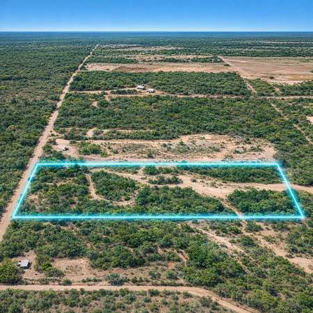 20 Acres of Land for Sale in Christine, Texas