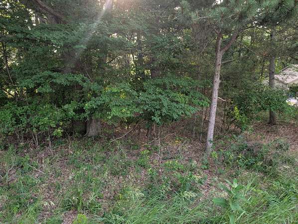 0.67 Acres of Residential Land for Sale in Manistee, Michigan