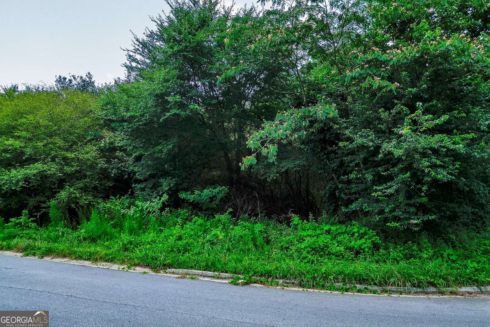 1.83 Acres of Residential Land for Sale in Gainesville, Georgia