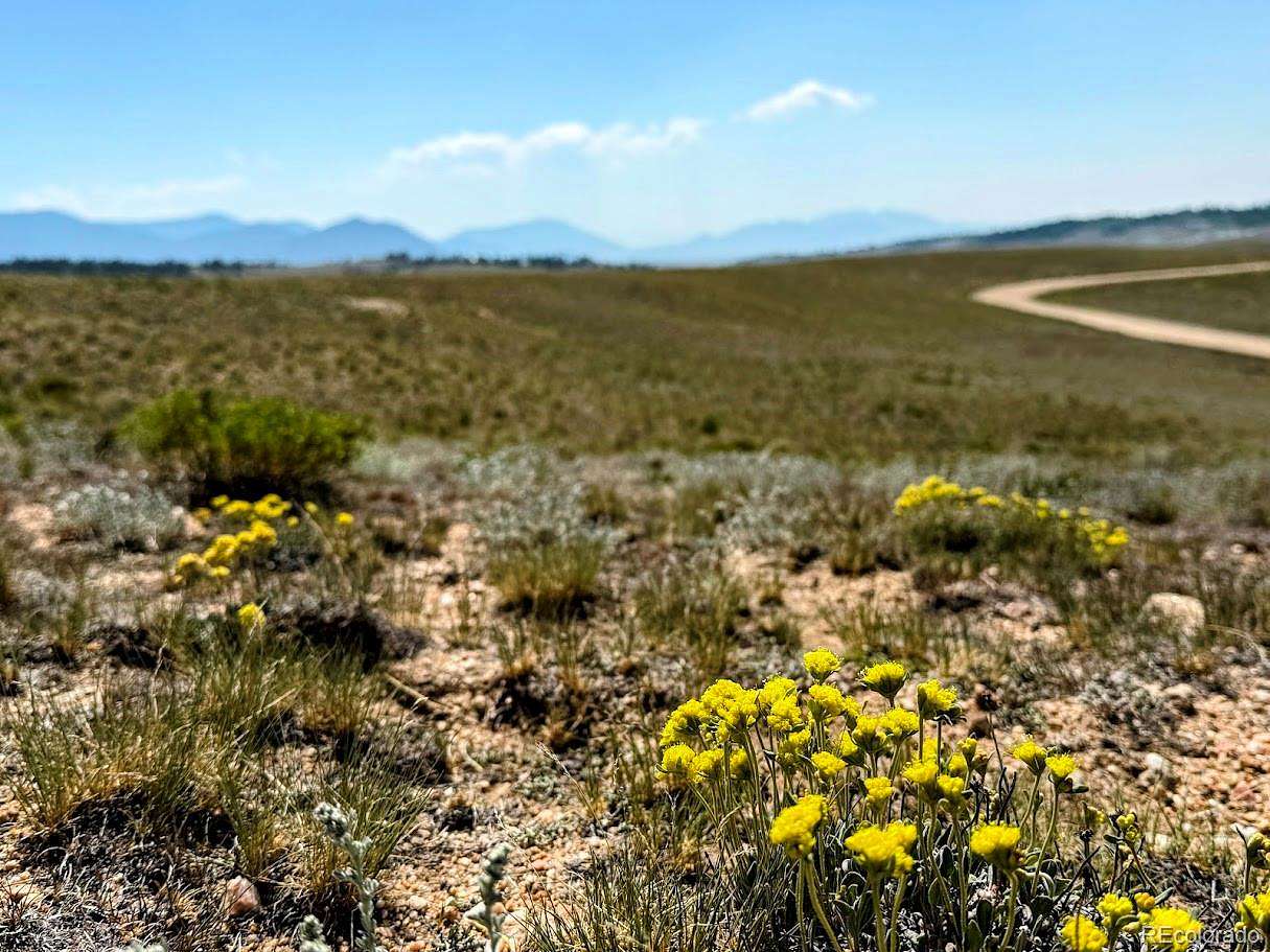 7.73 Acres of Land for Sale in Hartsel, Colorado