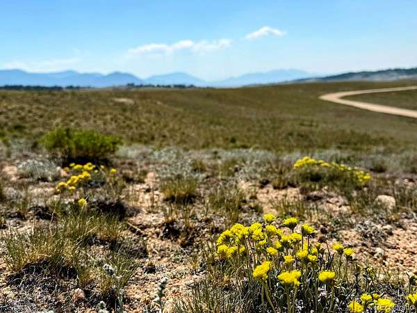 7.73 Acres of Land for Sale in Hartsel, Colorado