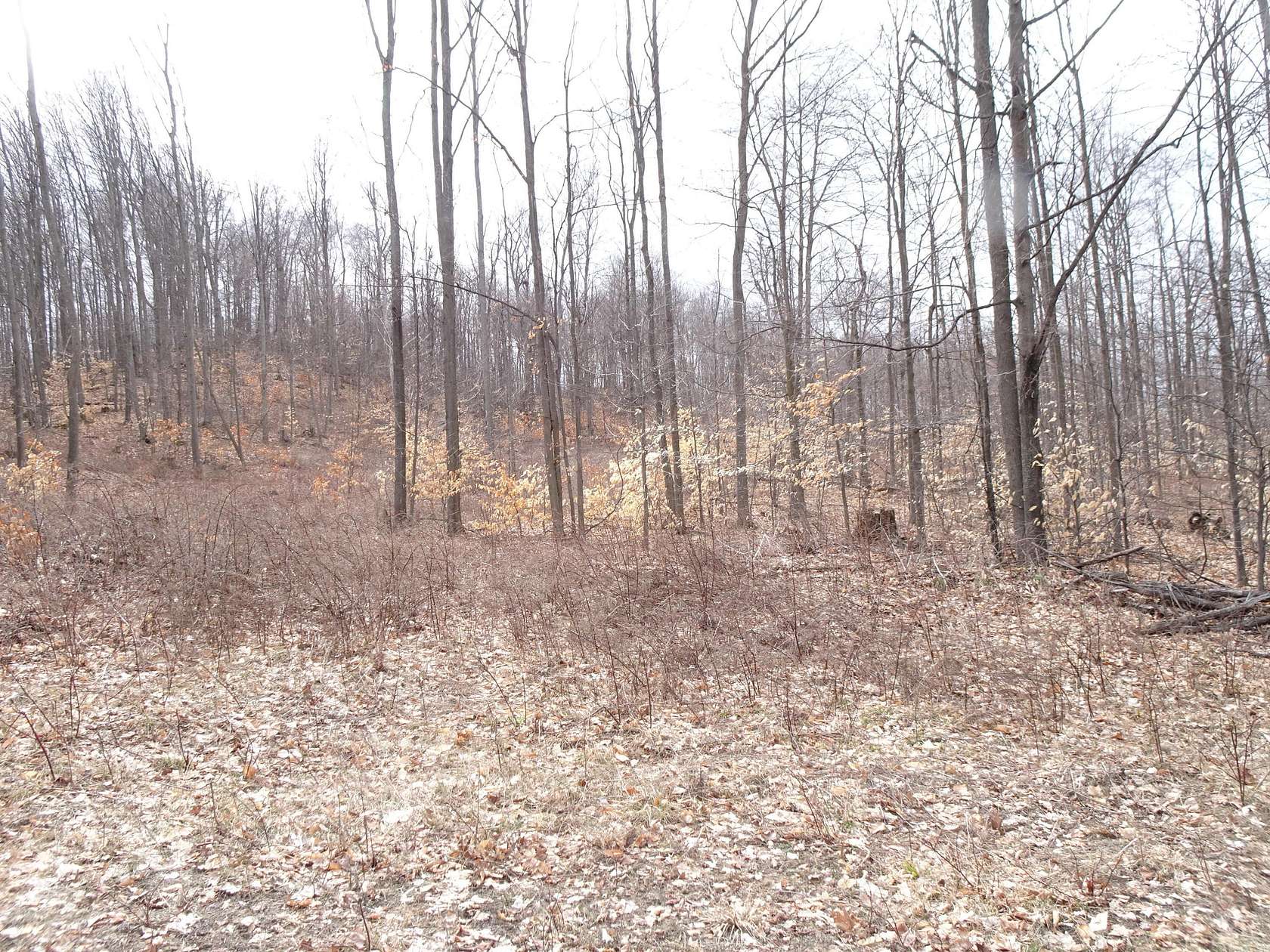 10 Acres of Land for Sale in Bear Lake, Michigan