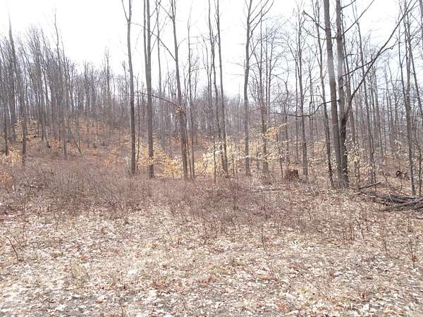 10 Acres of Land for Sale in Bear Lake, Michigan