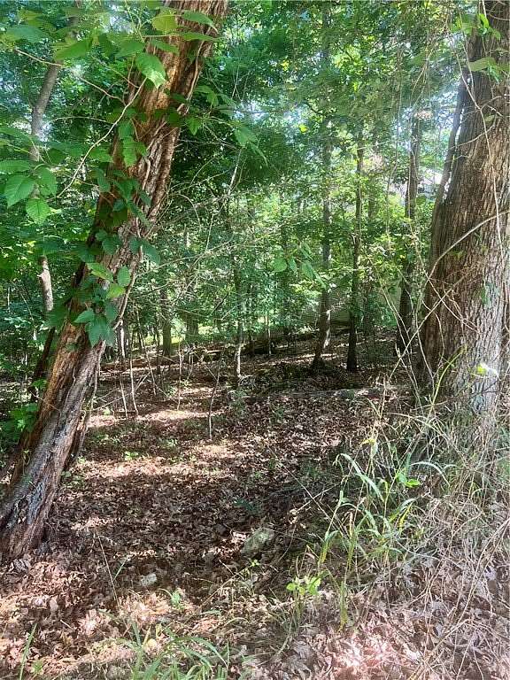 0.26 Acres of Residential Land for Sale in Bella Vista, Arkansas