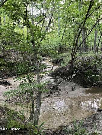 64 Acres of Recreational & Residential Land for Sale in Brandon, Mississippi