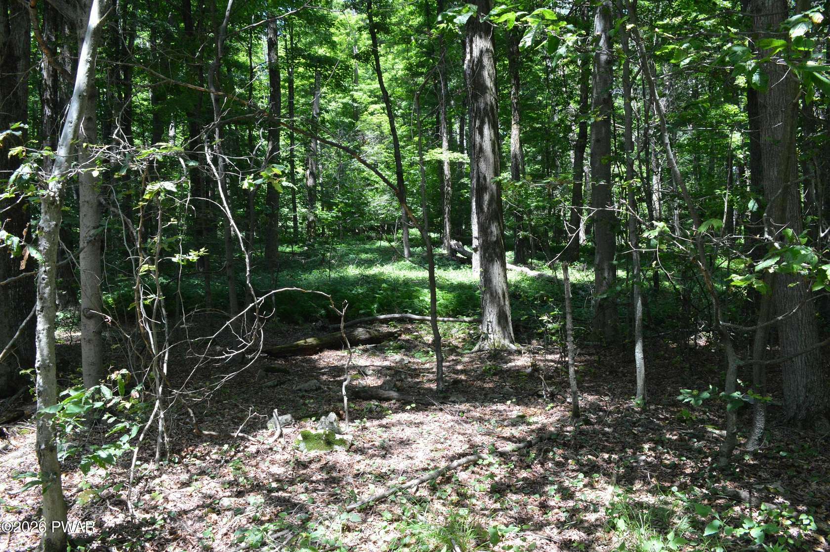 4.49 Acres of Residential Land for Sale in Newfoundland, Pennsylvania