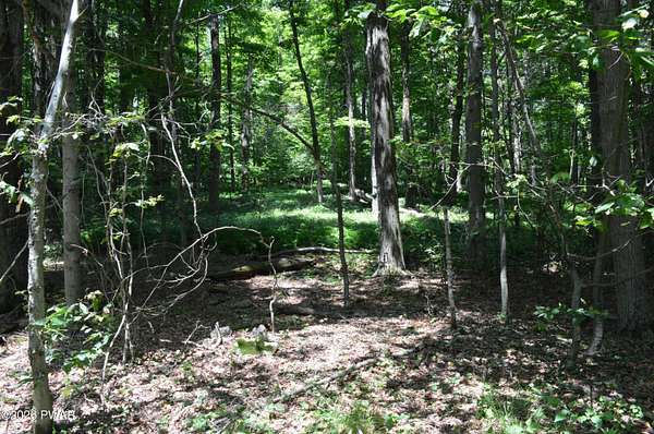 4.49 Acres of Residential Land for Sale in Newfoundland, Pennsylvania