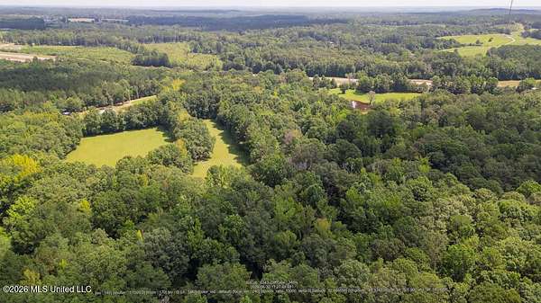 60 Acres of Land for Sale in Collinsville, Mississippi