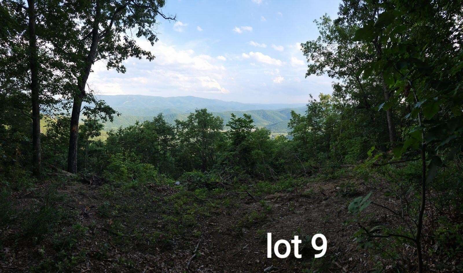 21.8 Acres of Recreational & Residential Land for Sale in Elliston, Virginia