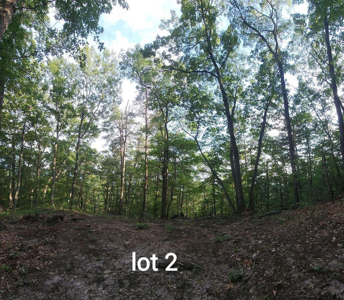 21.2 Acres of Recreational & Residential Land for Sale in Elliston, Virginia