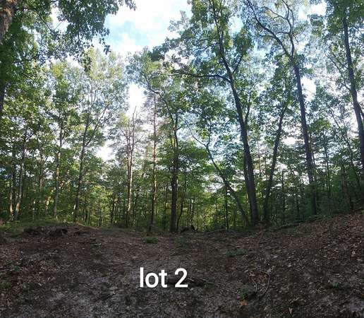 21.2 Acres of Recreational & Residential Land for Sale in Elliston, Virginia