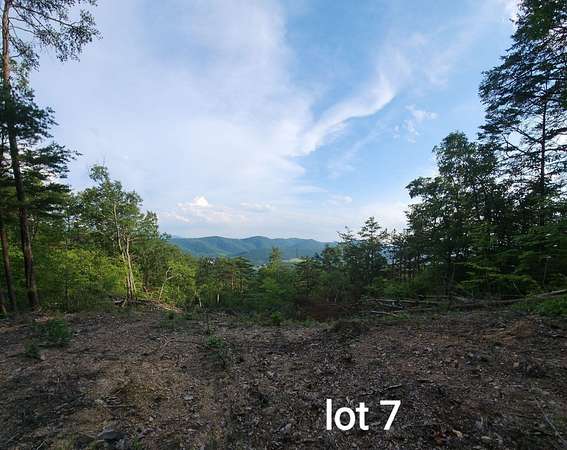 20 Acres of Recreational & Residential Land for Sale in Elliston, Virginia