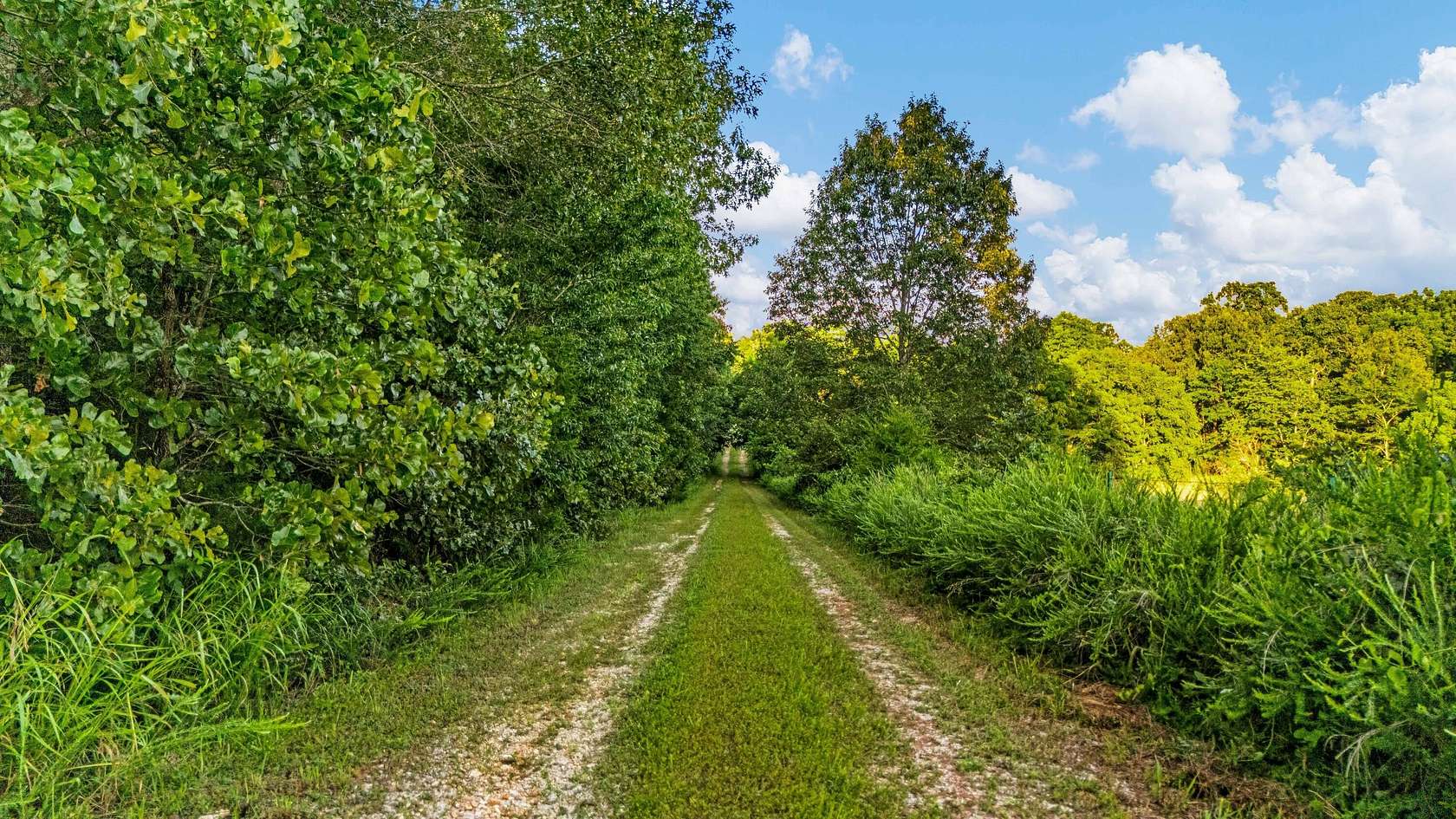358 Acres of Land with Home for Sale in Koshkonong, Missouri