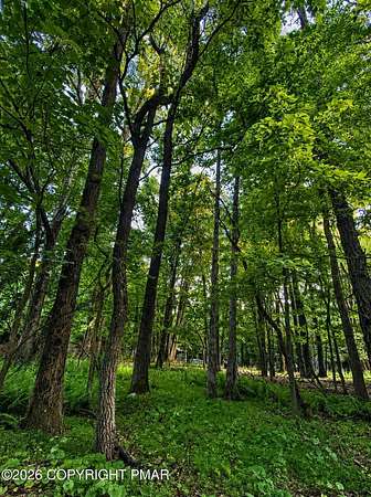 0.34 Acres of Residential Land for Sale in Effort, Pennsylvania