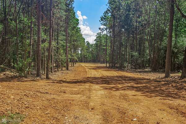29.4 Acres of Recreational & Residential Land for Sale in Benton, Louisiana