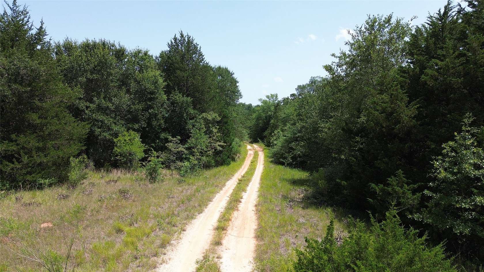 50 Acres of Land for Sale in Teague, Texas