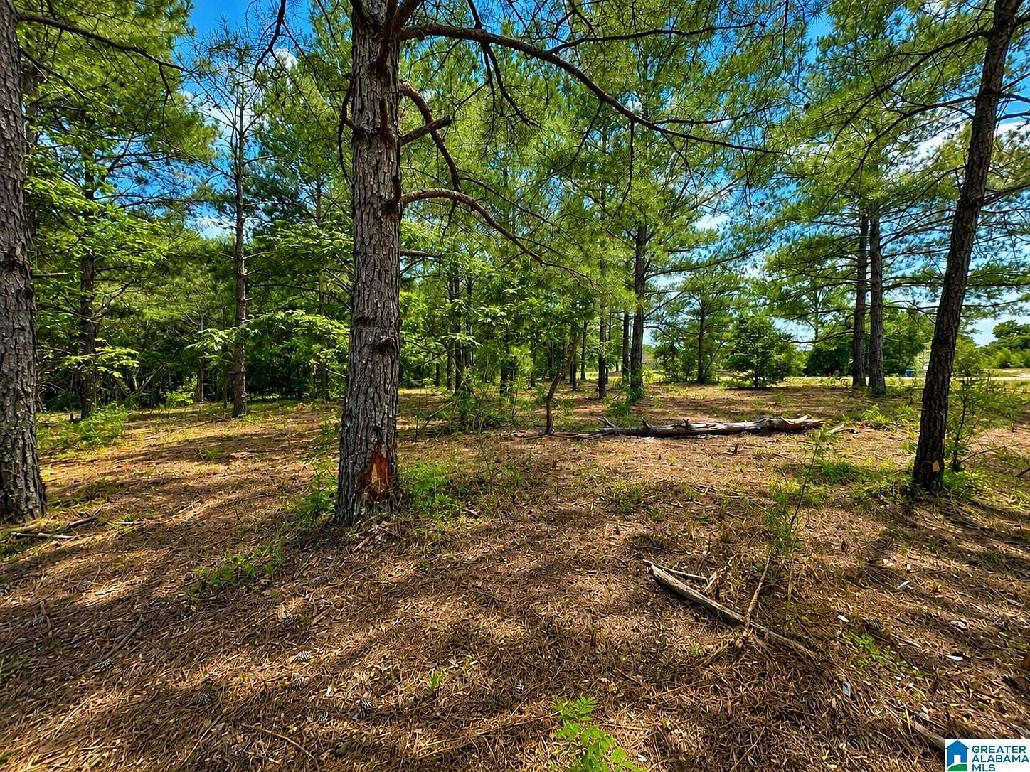 6 Acres of Residential Land for Sale in Prattville, Alabama