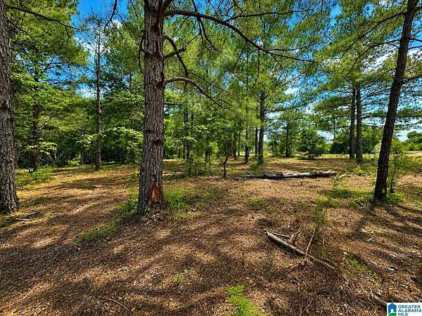 6 Acres of Residential Land for Sale in Prattville, Alabama