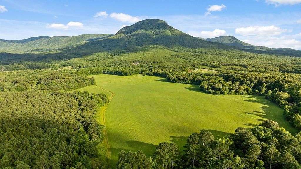 124 Acres of Land for Sale in Chatsworth, Georgia