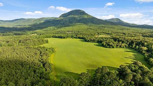 124 Acres of Land for Sale in Chatsworth, Georgia