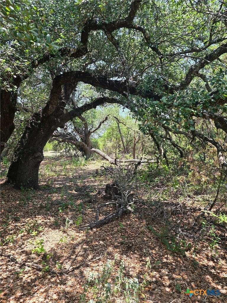 16.2 Acres of Recreational & Residential Land for Sale in Evant, Texas