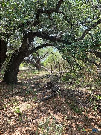 16.2 Acres of Recreational & Residential Land for Sale in Evant, Texas