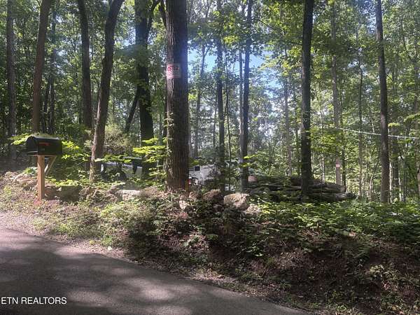 12 Acres of Recreational & Residential Land for Sale in Sharps Chapel, Tennessee