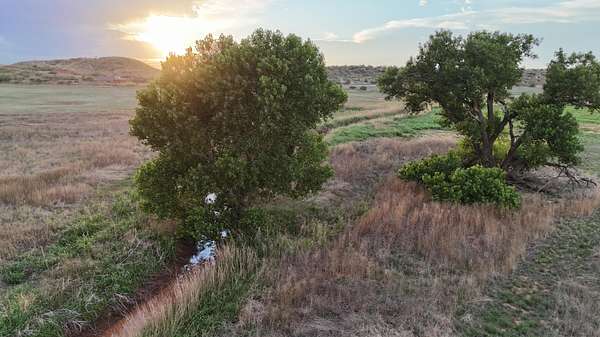 182 Acres of Land for Sale in Boys Ranch, Texas