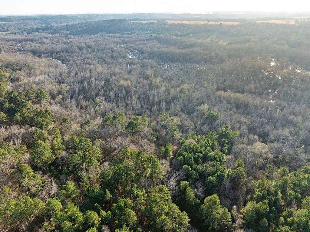 15 Acres of Recreational Land for Sale in Frankston, Texas
