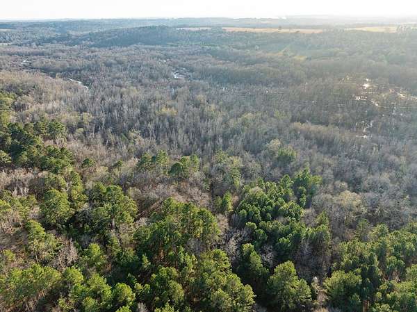 15 Acres of Recreational Land for Sale in Frankston, Texas