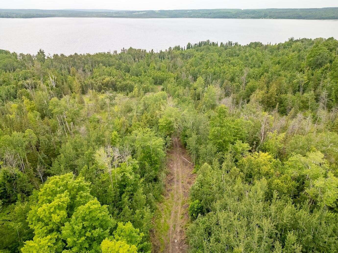 57.6 Acres of Recreational & Residential Land for Sale in Hillman, Michigan