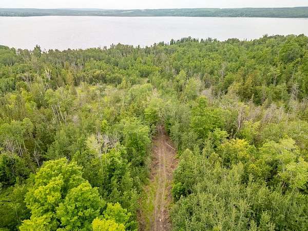 57.6 Acres of Recreational & Residential Land for Sale in Hillman, Michigan