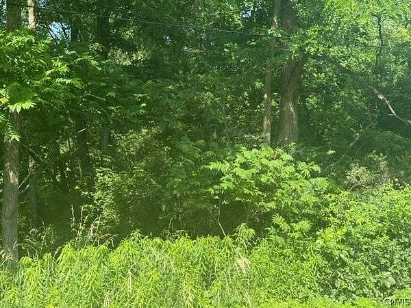 12.8 Acres of Recreational Land for Sale in DeRuyter, New York