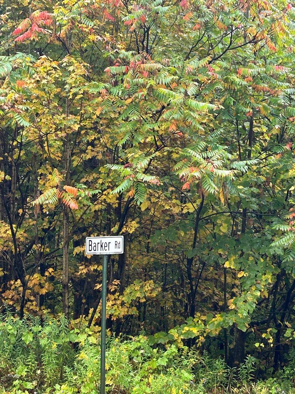 28 Acres of Recreational & Residential Land for Sale in Dolgeville, New York