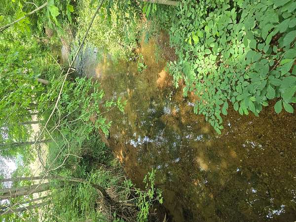 47.6 Acres of Land for Sale in Edmonton, Kentucky