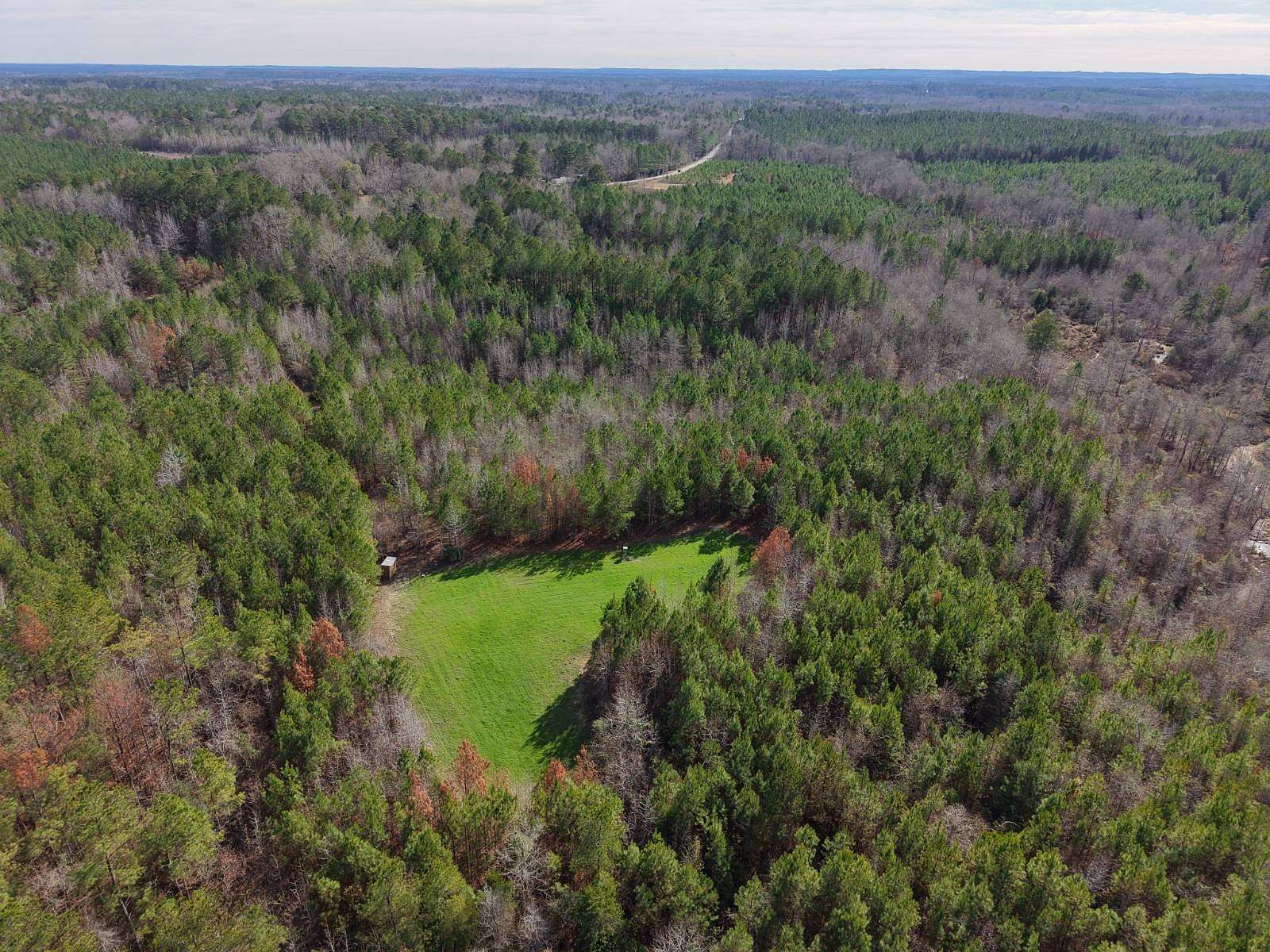 20 Acres of Land for Sale in Lisman, Alabama